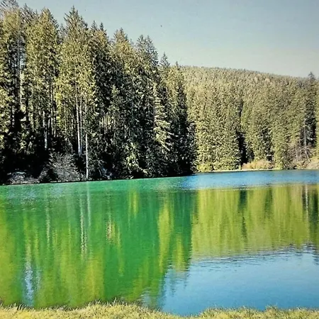 Little Harz Gnome Διαμέρισμα