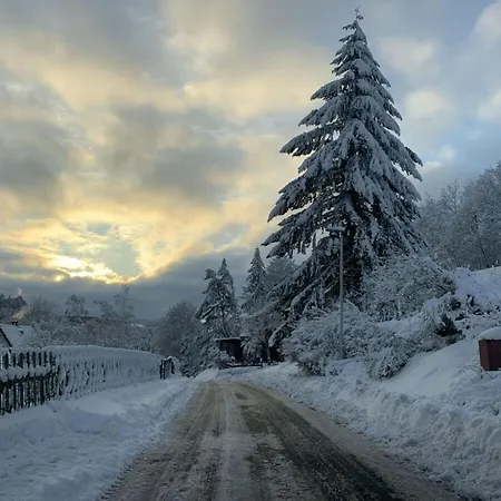 Little Harz Gnome * Altenau (Lower-Saxony)