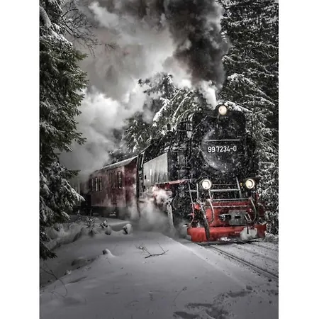 Little Harz Gnome * Altenau (Lower-Saxony)