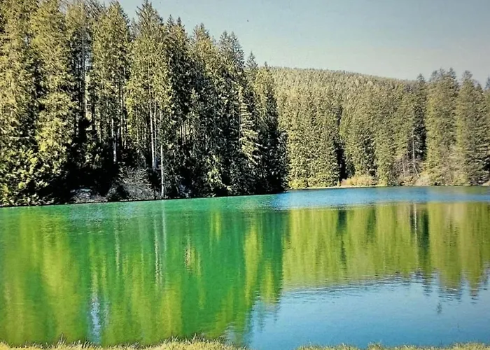 Little Harz Gnome 公寓