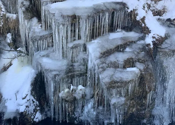 公寓 Little Harz Gnome 阿尔特瑙