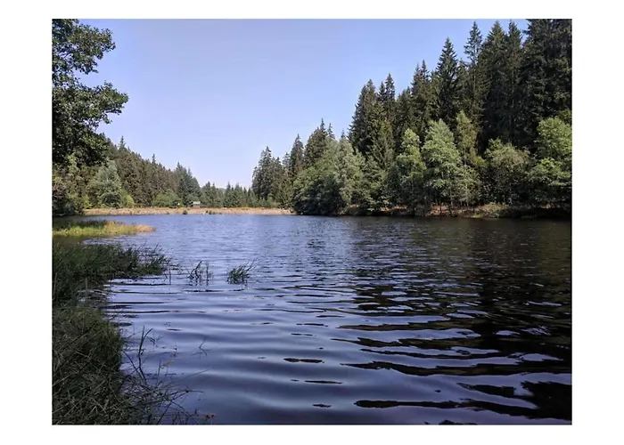 公寓 Little Harz Gnome *