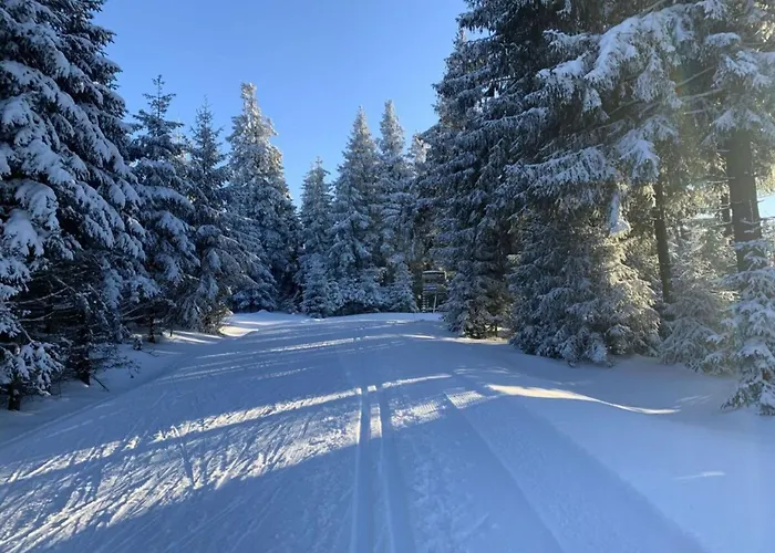 Little Harz Gnome * 阿尔特瑙