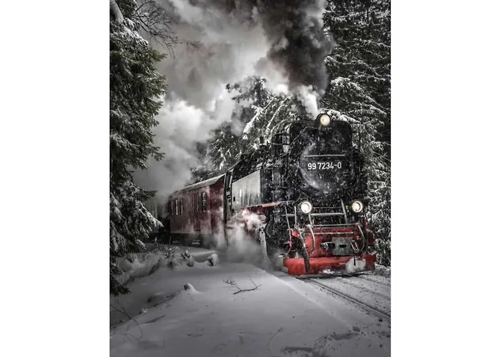 Little Harz Gnome * 阿尔特瑙